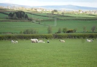 Valley View Country House Bed And Breakfast Bushmills Εξωτερικό φωτογραφία
